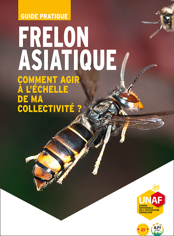 dossier de presse de l'UNAF "Le Frelon Asiatique - Vespa velutina"